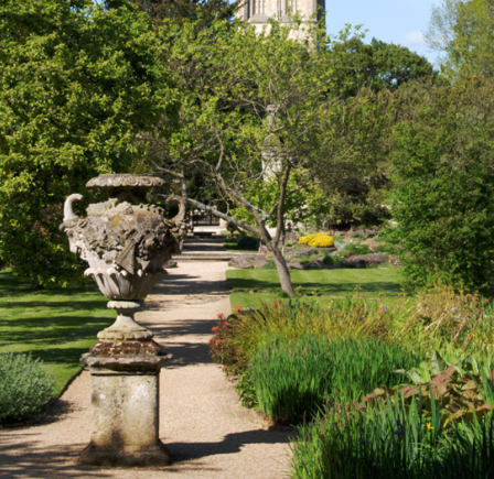 <strong><span class="NormalTextRun SCXW100740500 BCX8">OXFORD BOTANIC GARDENS</span> </strong>