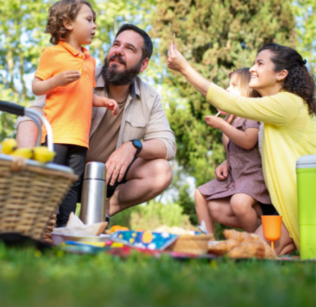 <strong>LOCAL FAMILY ATTRACTIONS</strong>